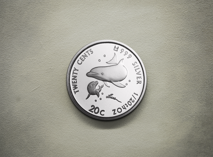 Dolphin - Silver 999.9