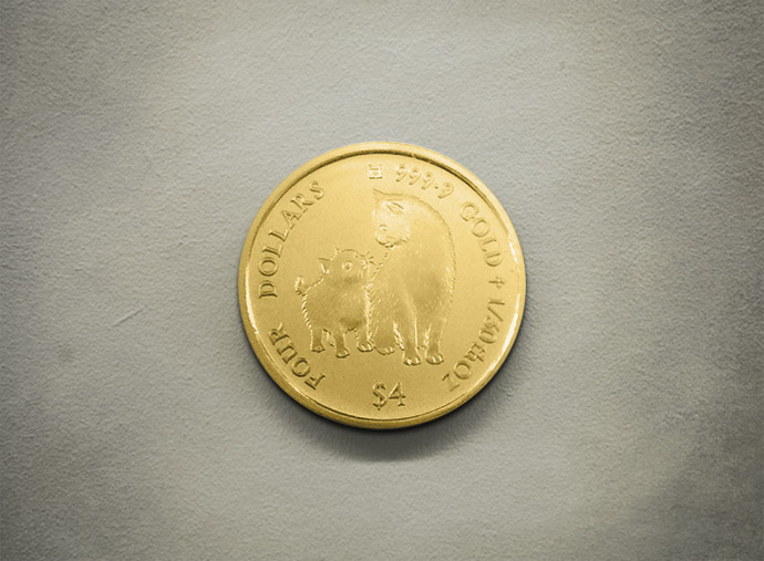 Mother's Love Coin 2017